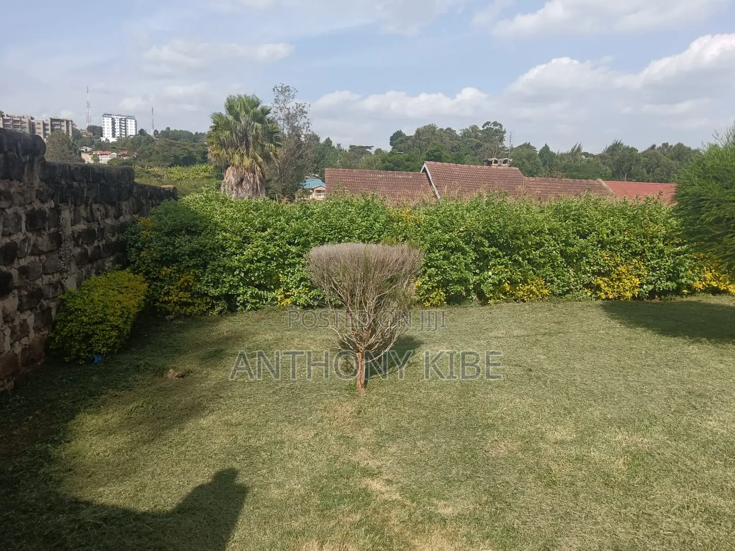 1⁄4 Acre Commercial Plot