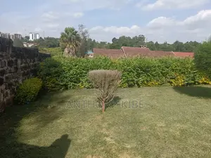 1⁄4 Acre Commercial Plot