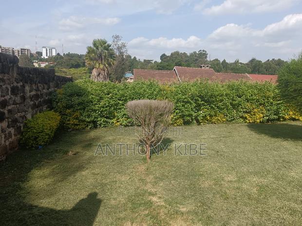 1⁄4 Acre Commercial Plot - thumbnail 5