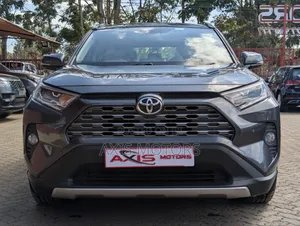 Toyota RAV4 LE FWD 2019 Gray