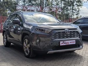 Toyota RAV4 LE FWD 2019 Gray