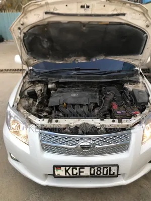 Toyota Axio 1.5 X 4WD 2009 White