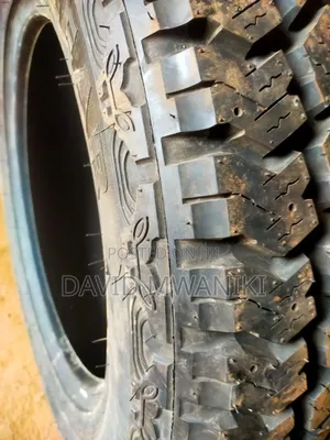 Black Bear Tires