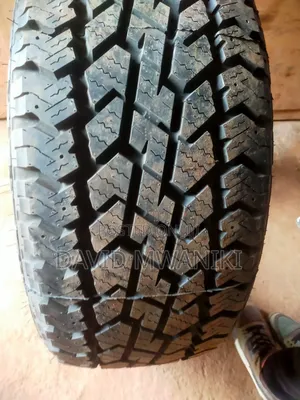 Black Bear Tires