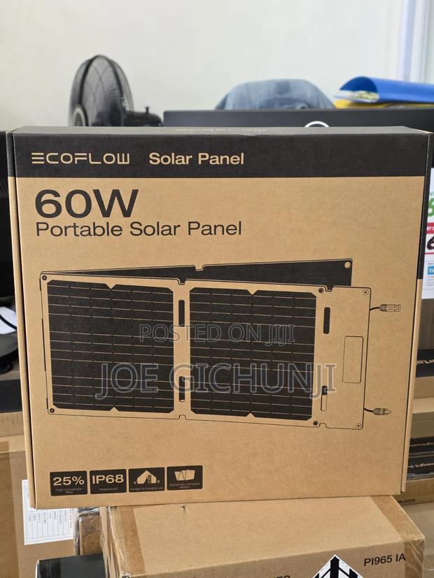 EcoFlow 60W Portable Solar Panel - main view