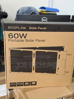 EcoFlow 60W Portable Solar Panel