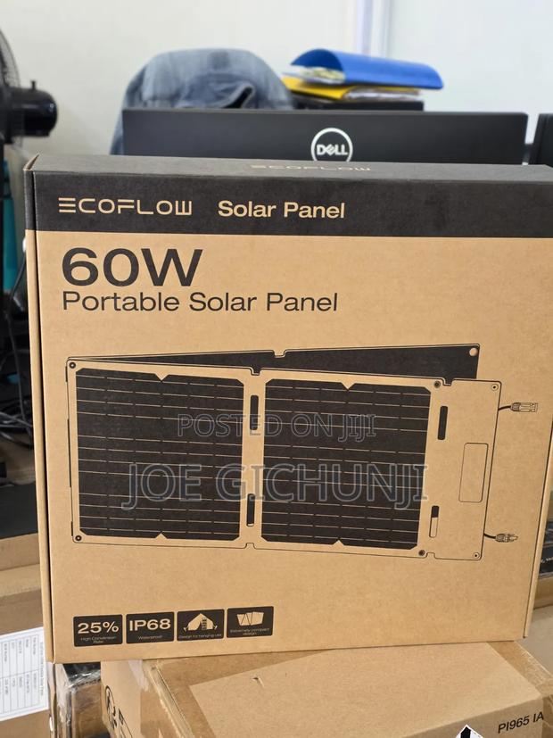 EcoFlow 60W Portable Solar Panel - thumbnail 3