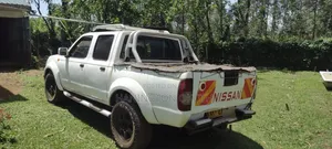 Nissan Hardbody 2002 White