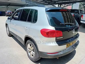 Volkswagen Tiguan 2015 Silver