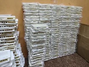 Gpon Routers