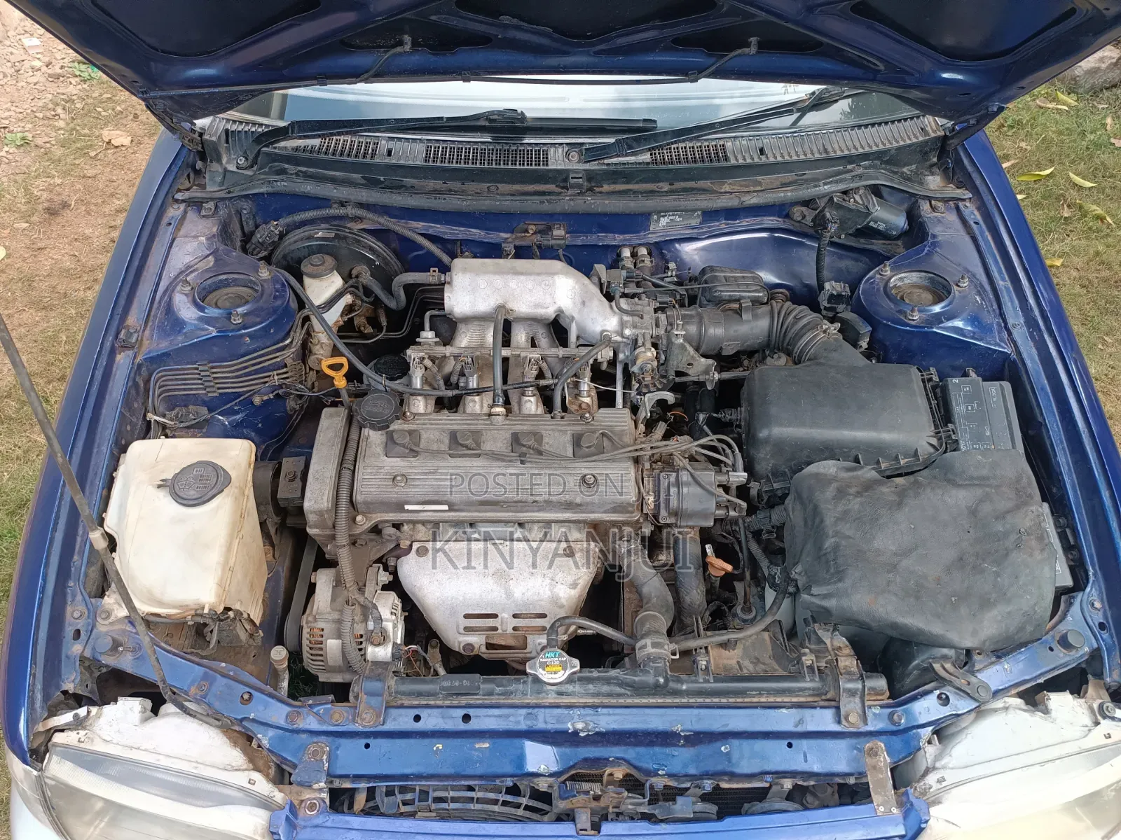 Toyota Corolla 1998 Blue