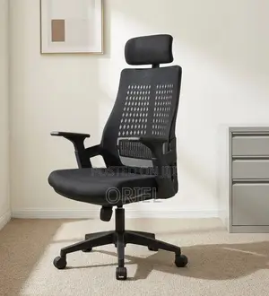 Office Chair : Orthopedic High Back Staff Seat