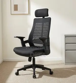 Office Chair : Orthopedic High Back Staff Seat