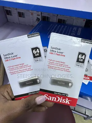 64GB Metallic Sandisk Flashdisk