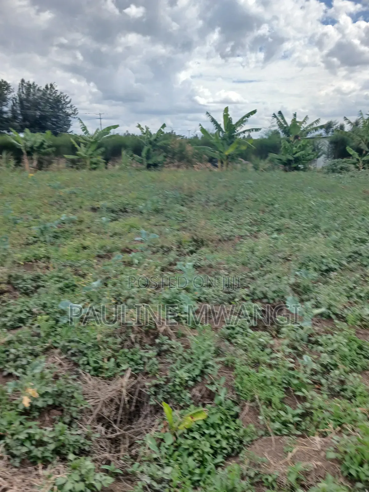 Plots for Sale