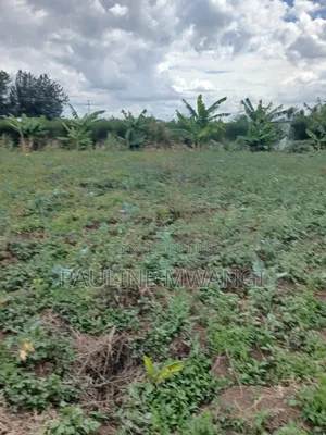 Plots for Sale