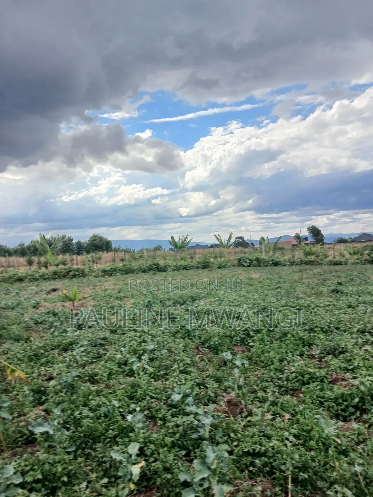 Plots for Sale