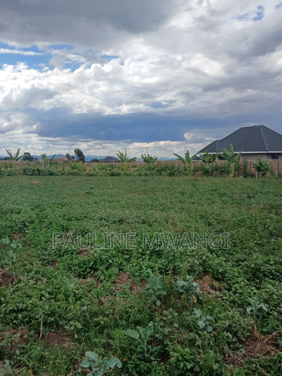 Plots for Sale