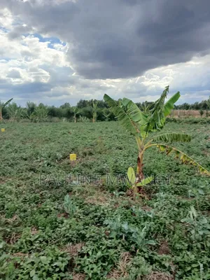 Plots for Sale