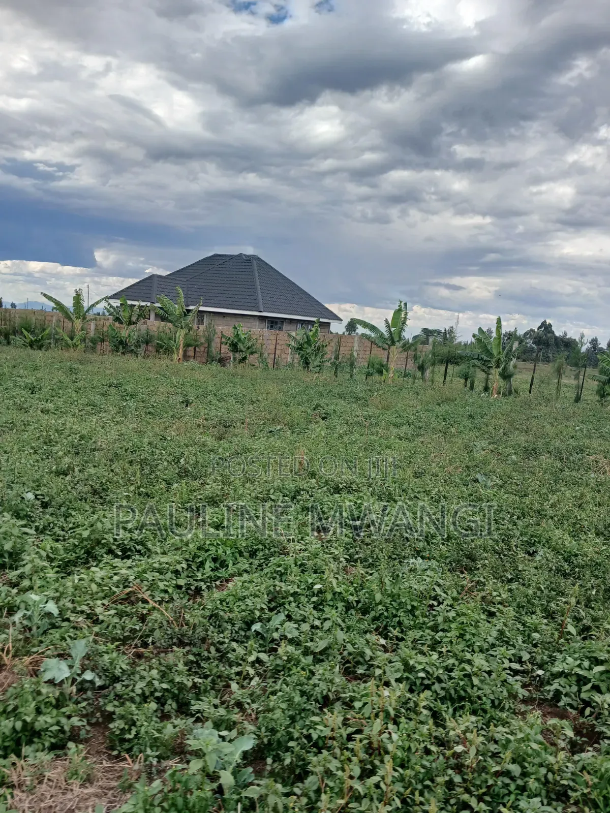 Plots for Sale