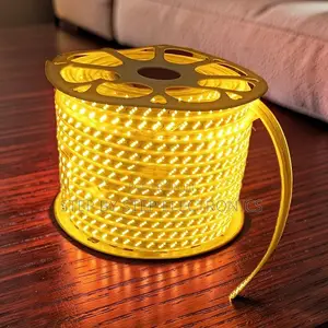 High-Quality 50M Orange Yellow Warm White SMD LED Strip Snake Light