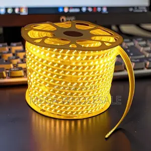 Super Bright 50M Orange Yellow Warm White SMD LED Strip Snake Light