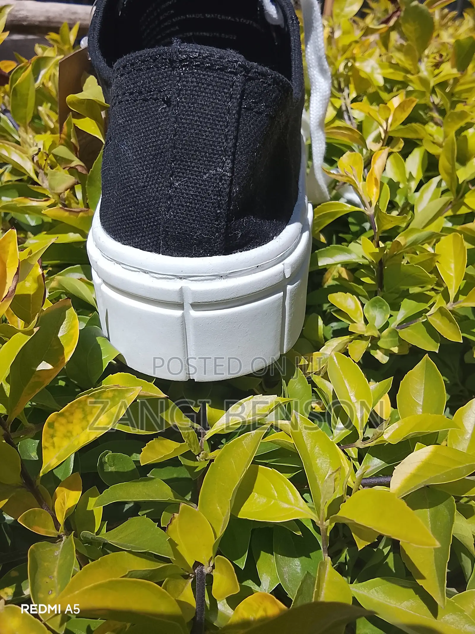 Shoe Unisex