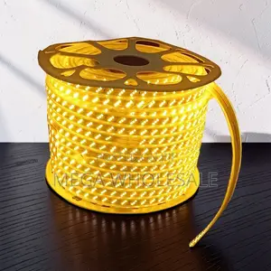 High-Quality 50M Orange Yellow Warm White SMD LED Strip Snake Light