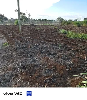 100by 100 Prime Plot
