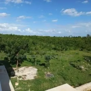 Ready Title Deed  Prime 3-Acre Land for Sale in Tezo, Kilifi! Beach