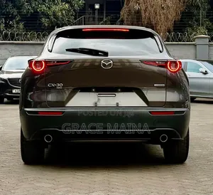 Mazda CX-30 2019 Gray