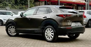 Mazda CX-30 2019 Gray