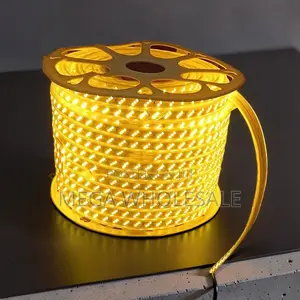 Decorative 50M Orange Yellow Warm White SMD LED Strip Snake Light