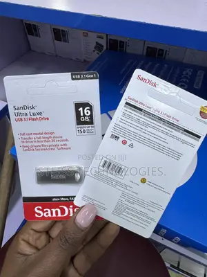16GB Metallic Sandisk Flashdisk