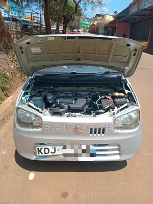 Suzuki Alto 2016 Silver