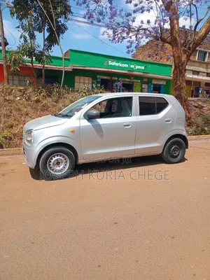 Suzuki Alto 2016 Silver