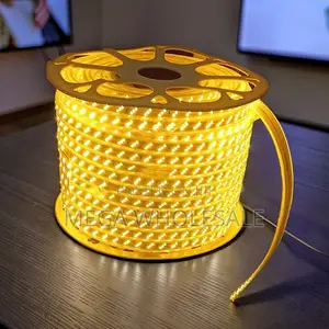 Long-Lasting 50M Orange Yellow Warm White SMD LED Strip Snake Light