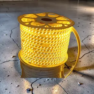 Energy-Efficient 50M Orange Yellow Warm White SMD Strip Snake Light