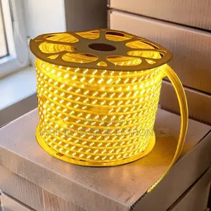 Eye-Catching 50M Orange Yellow Warm White SMD LED Strip Snake Light