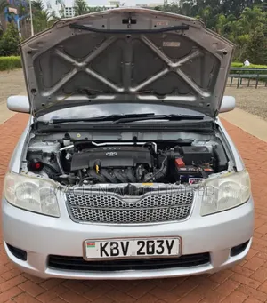 Toyota Corolla Fielder 2006 Silver