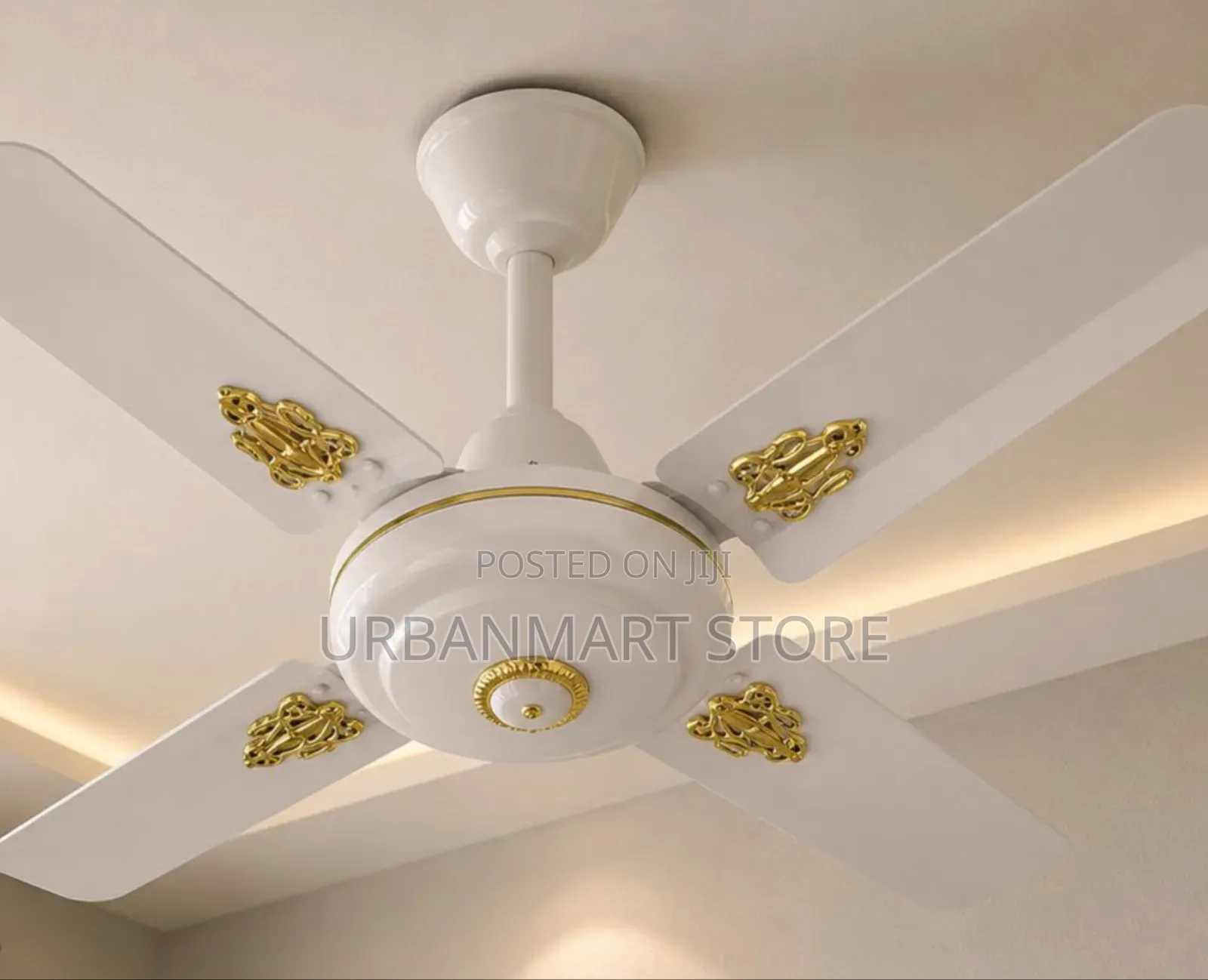 Starworth 24 Inch Ceiling Fan White