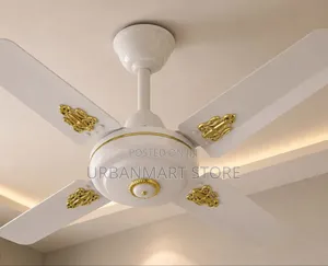 Starworth 24 Inch Ceiling Fan White