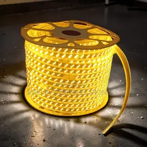 Bendable 50M Orange Yellow Warm White SMD LED Strip Snake Light
