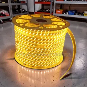 Outdoor 50M Orange Yellow Warm White SMD LED Strip Snake Light