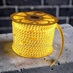 Eco-Friendly 50M Orange Yellow Warm White SMD LED Strip Snake Light