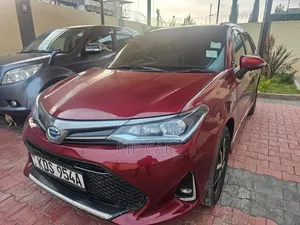 Toyota Corolla Fielder 2019 Burgundy