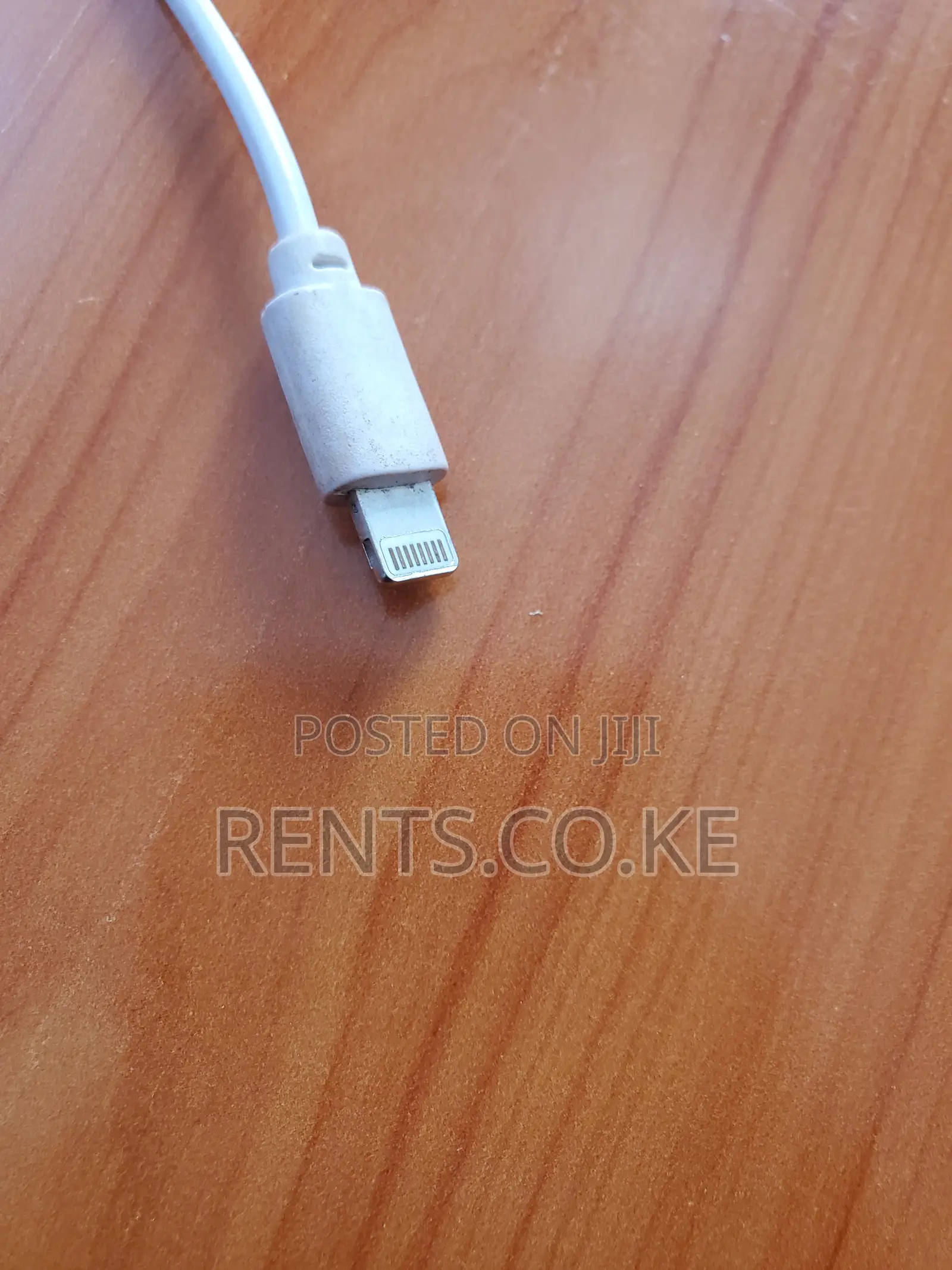 iPhone Charger