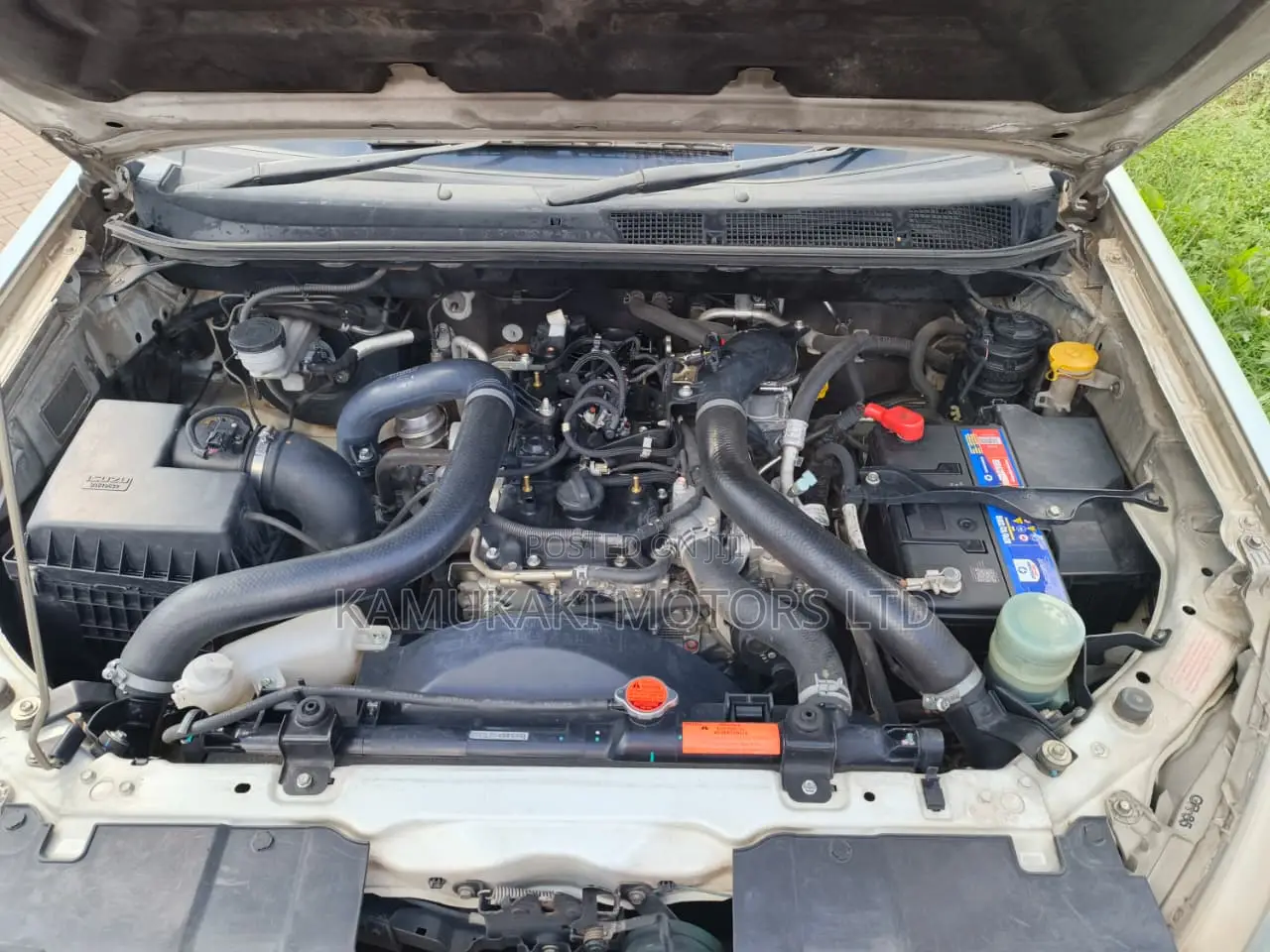 Isuzu D-MAX 2024 White