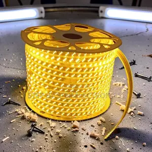 Professional 50M Orange Yellow Warm White SMD LED Strip Snake Light