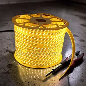 Dimmable 50M Orange Yellow Warm White SMD LED Strip Snake Light